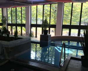 Hlavný bazén s vírívkami a luxusným výhľadom do prírody v hoteli Oxigén